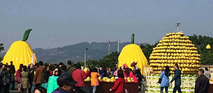 水蜜桃最新地址蜜桃视频APP入口音响设备注入梁平采柚节开幕式