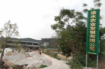 茂名展示厅音响工程案例-【水蜜桃最新地址】