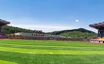 水蜜桃最新地址专业音响设备成功助力鹿寨田径运动场——基于Dante网络架构现场音频系统